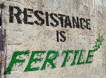resistance_is_fertile.jpg
